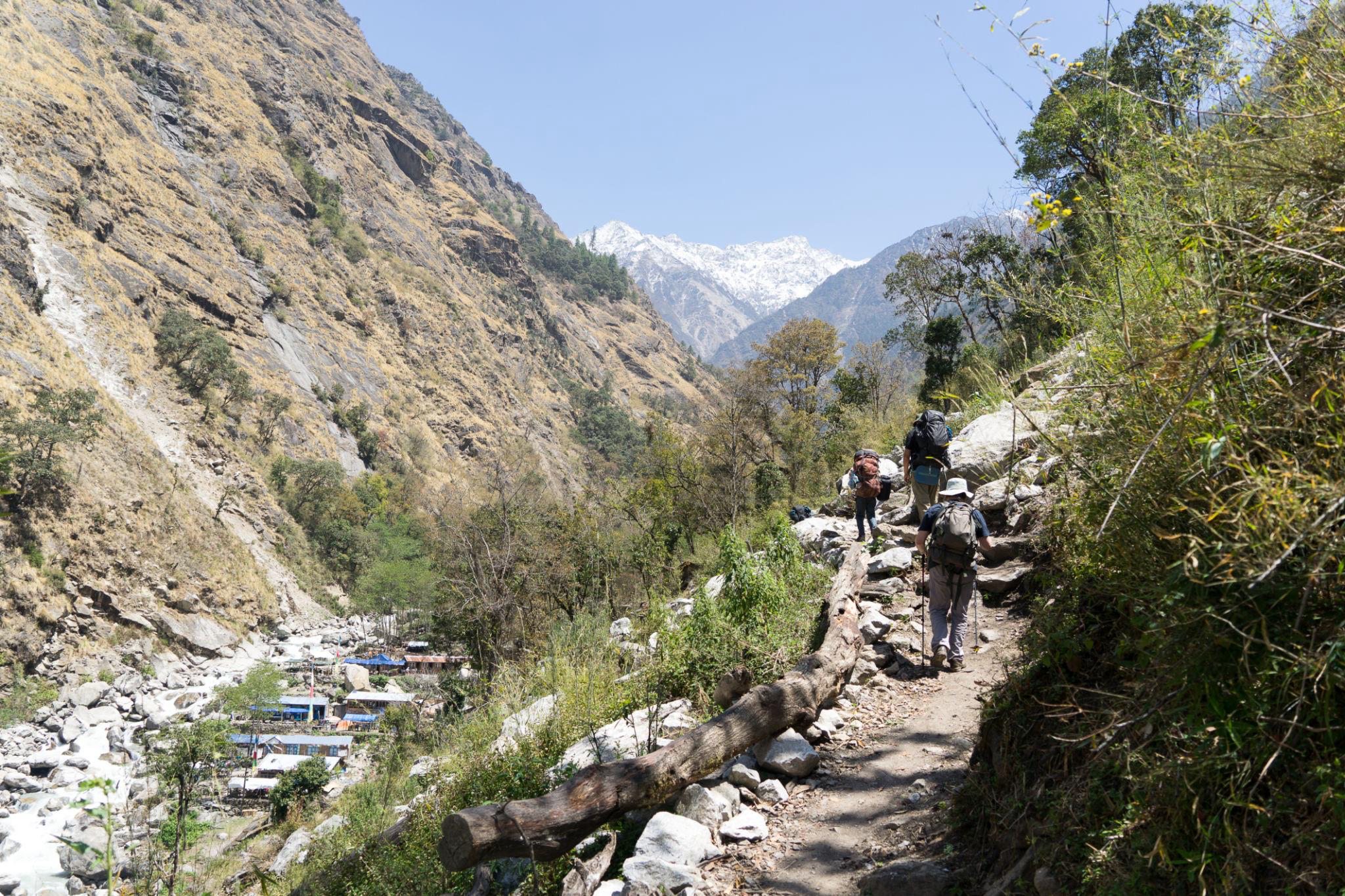 Walk through forests, rivers & glaciers