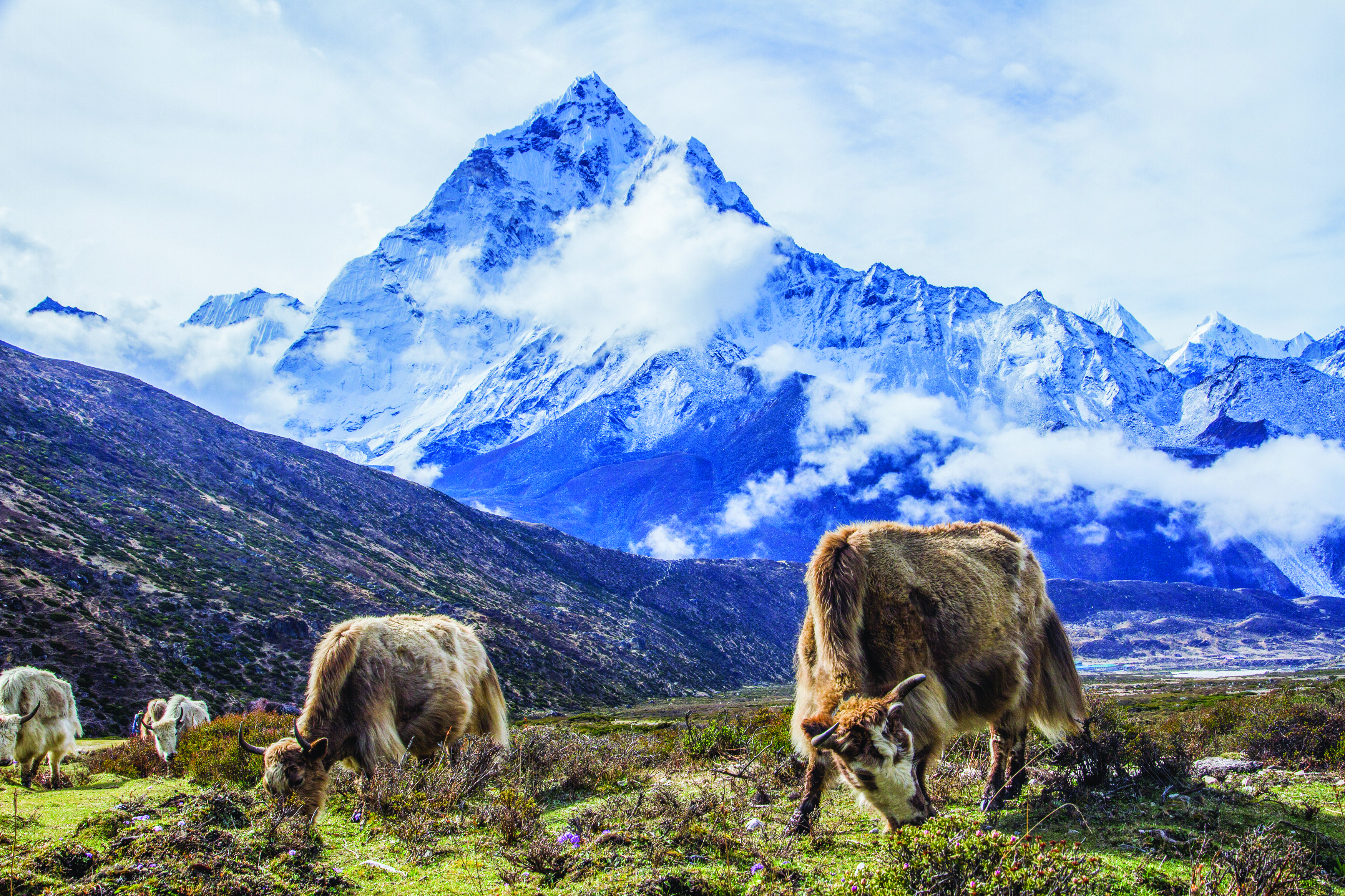 “Guided by Sherpa spirit, driven by purpose—explore Nepal and empower communities.”